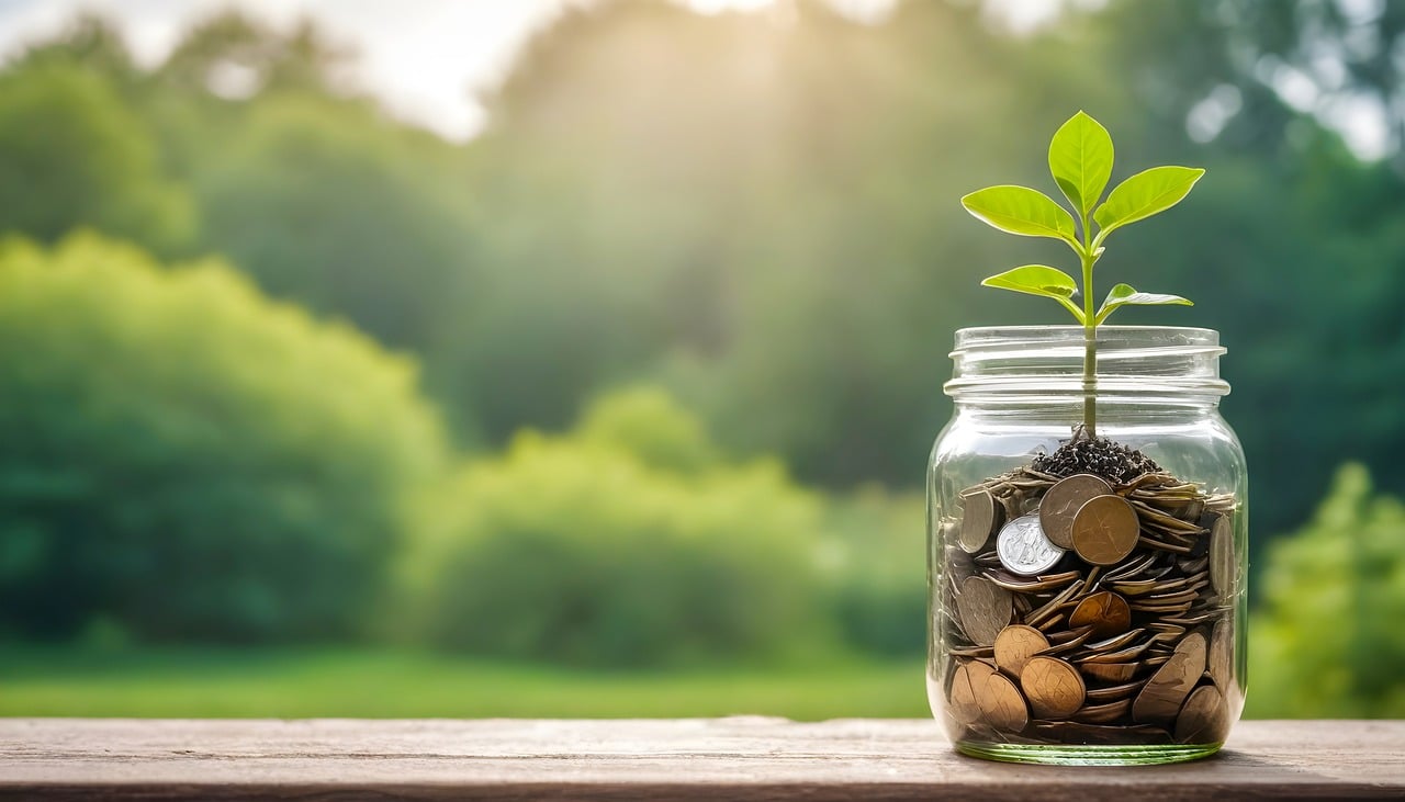 investment, money, finance